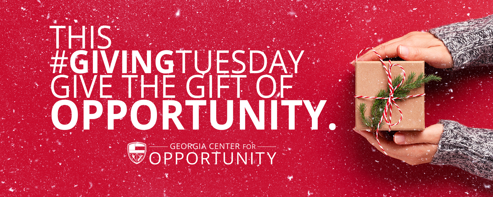 Giving Tuesday