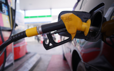 Consumer Price Index Increased 7.9% Over the Last 12 Months