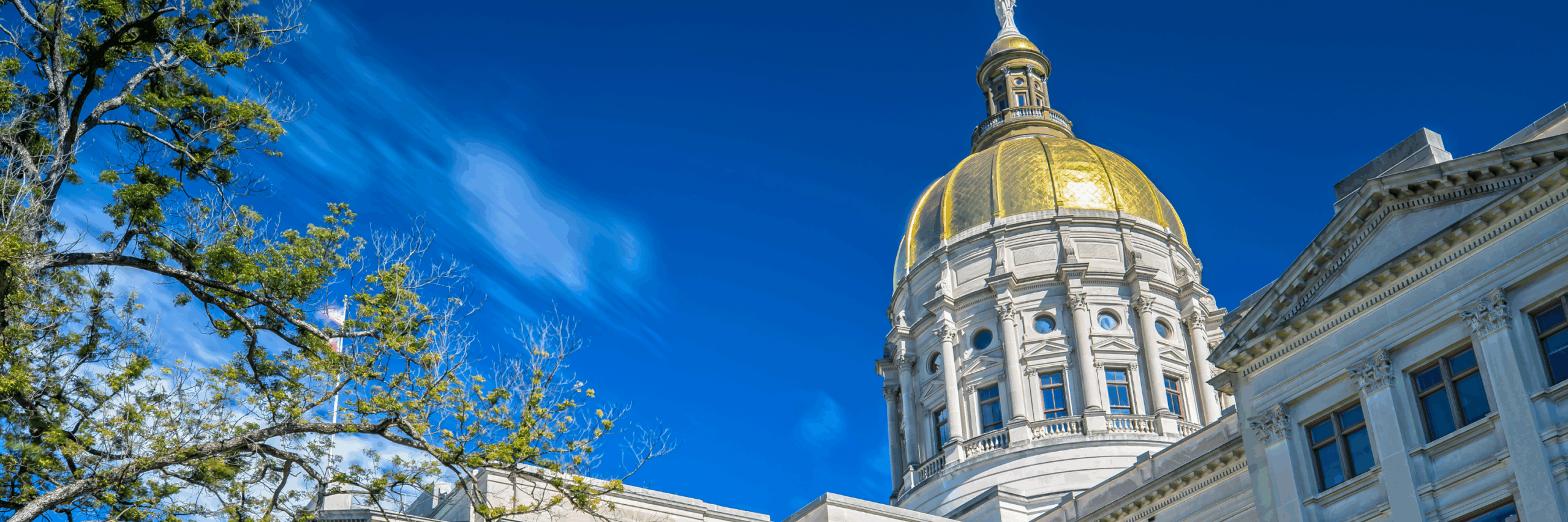 Top 2026 issues for Georgia lawmakers and citizens include welfare, cost of living, education, and crime. 