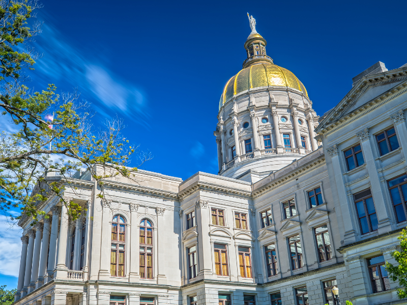 Shaping Georgia’s future: Opportunities for the year ahead