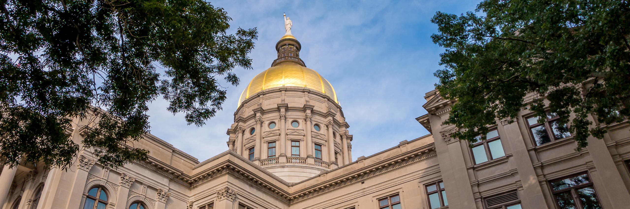 Georgia state legislature, 2024 session 