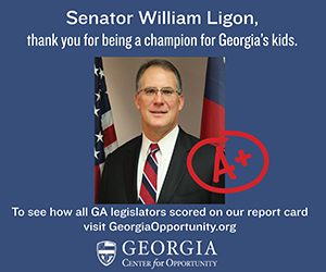 SC Legislator Ad - Ligon (single)