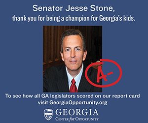 SC Legislator Ad - Stone (single)