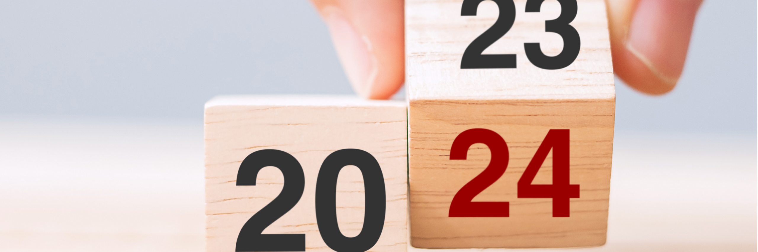 new years resolution, 2024, year in review 